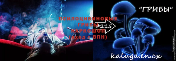 хмурый Алзамай