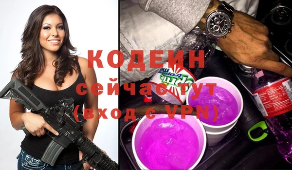 хмурый Алзамай