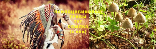 хмурый Алзамай