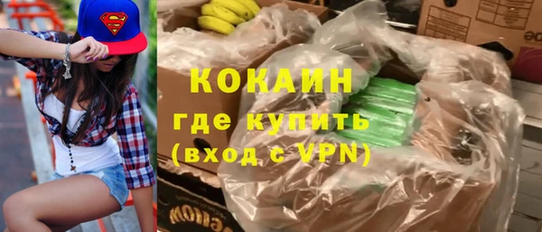 шишки Алексеевка