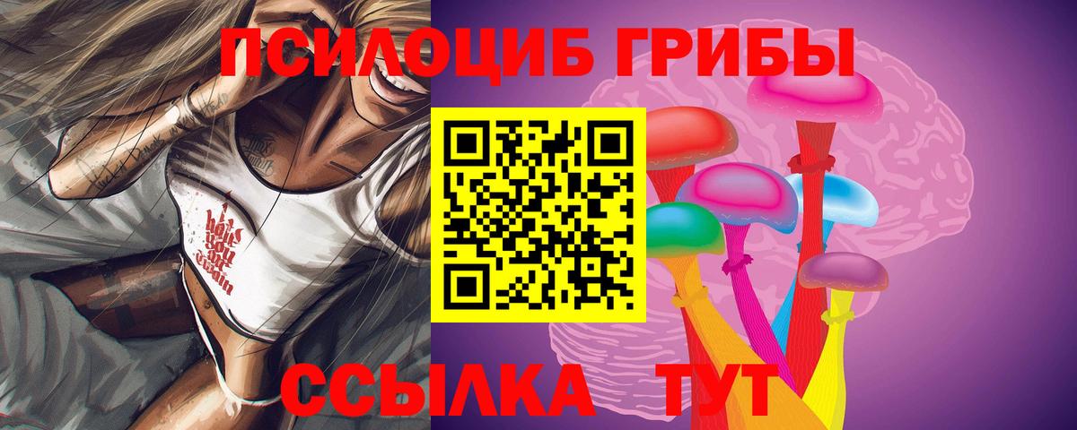 где найти наркотики  Вход с VPN  Жуковский  Псилоцибиновые грибы Psilocybine cubensis  Галлюциногенные грибы мицелий 